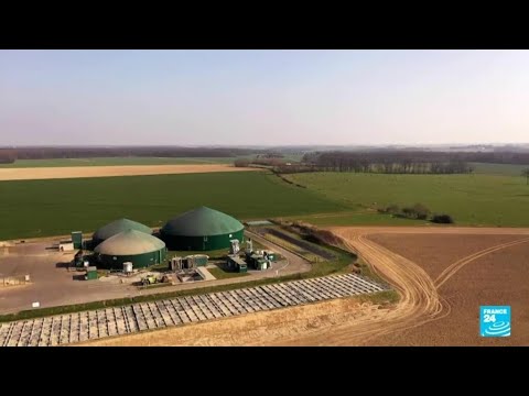 Renewable energy: France's biogas sector is booming • FRANCE 24 English