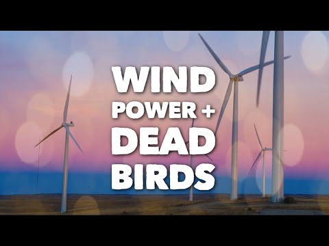 VERIFY: Do wind turbines kill a large number of birds?