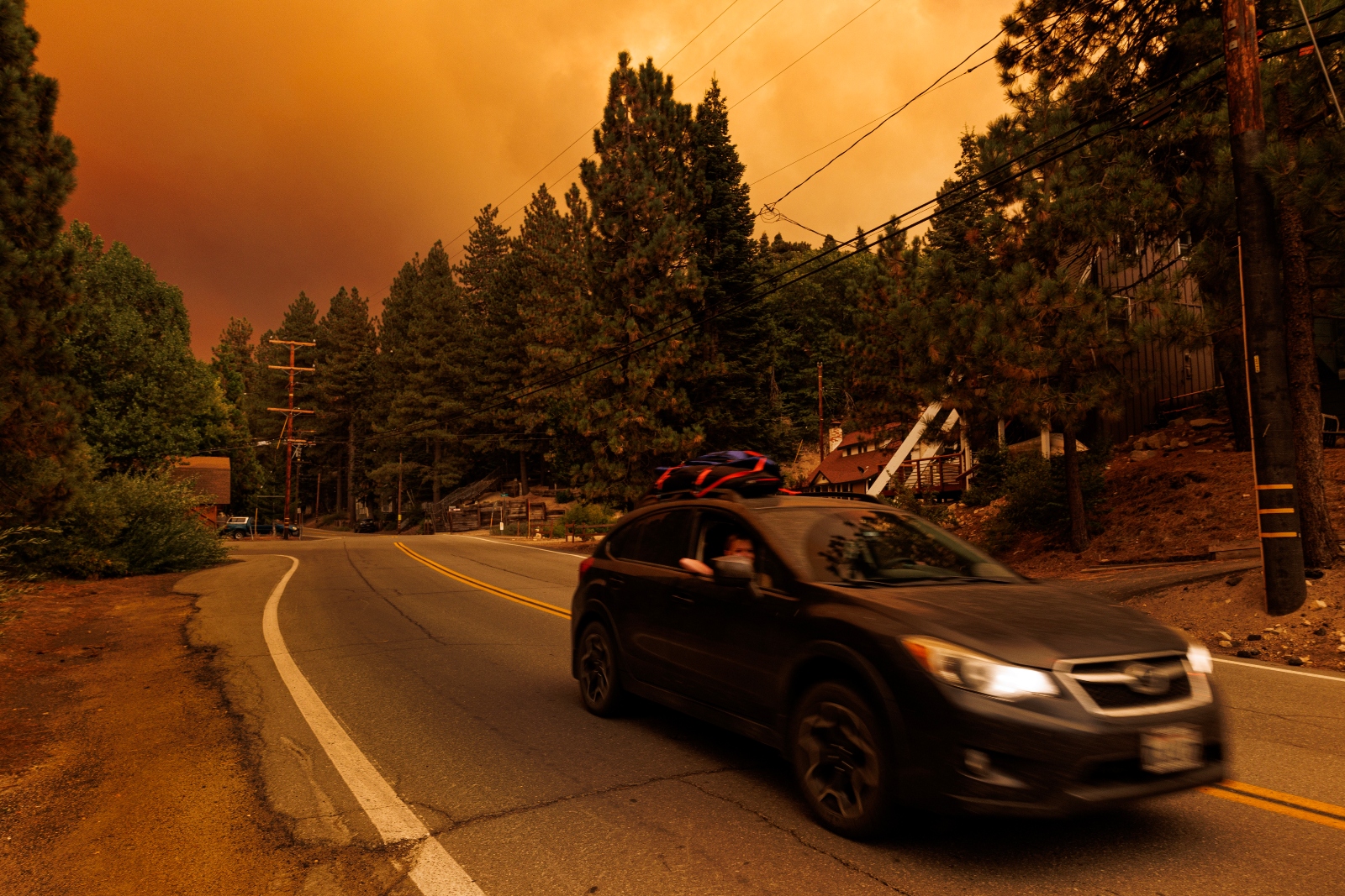 ‘Weather whiplash’ helped drive this year’s California wildfires